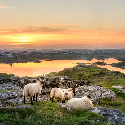 que faire en Irlande : visiter Clifden