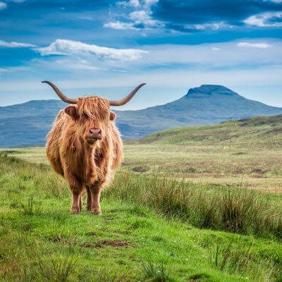 que faire en Ecosse : visiter La régions des Highlands