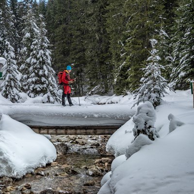 que faire au Montenegro : visiter Zabljak