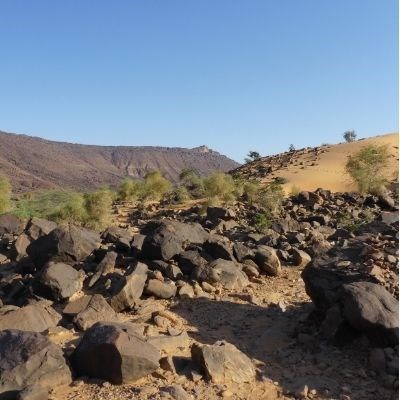 que faire en Mauritanie : visiter Le canyon de Foucht