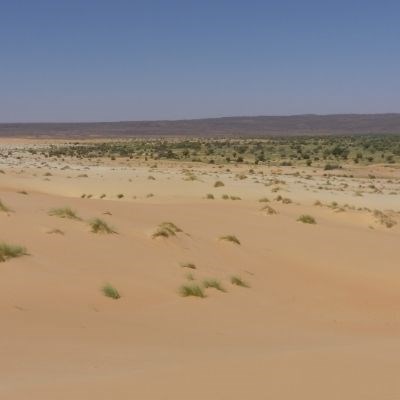que faire en Mauritanie : visiter L'Erg Amatlich