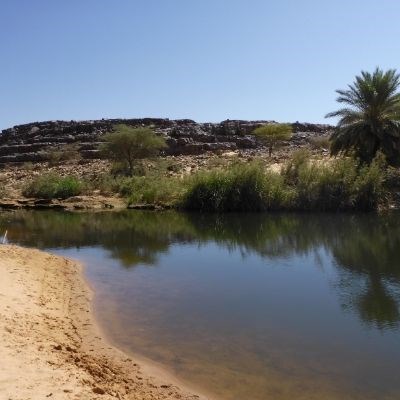 que faire en Mauritanie : visiter L'Oasis El Gleitat