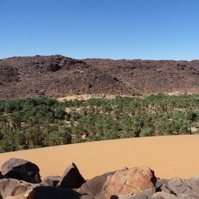 que faire en Mauritanie : visiter L'Oasis Mhaireth