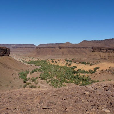 que faire en Mauritanie : visiter L'Oasis Terjit