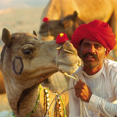 que faire en Inde : visiter Pushkar