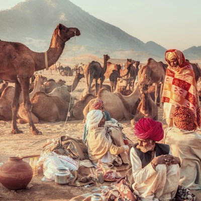 que faire en Inde : visiter Pushkar