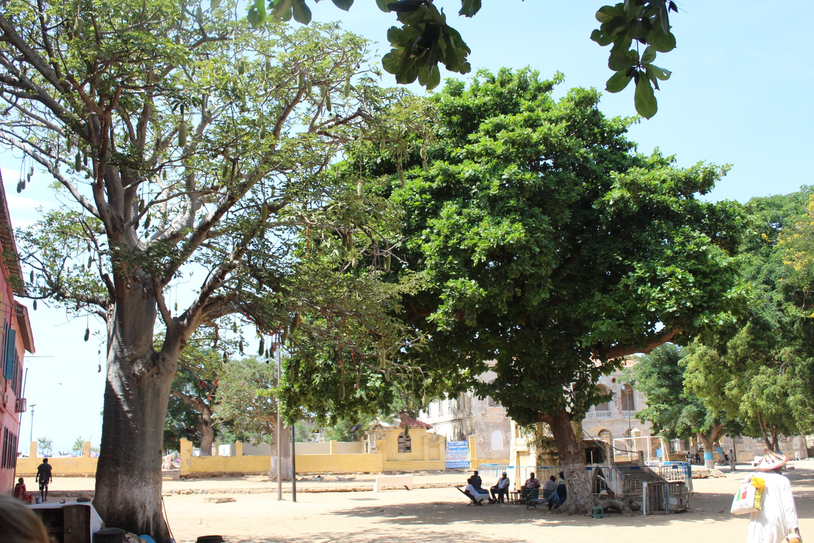 Sénégal - L'île de Gorée