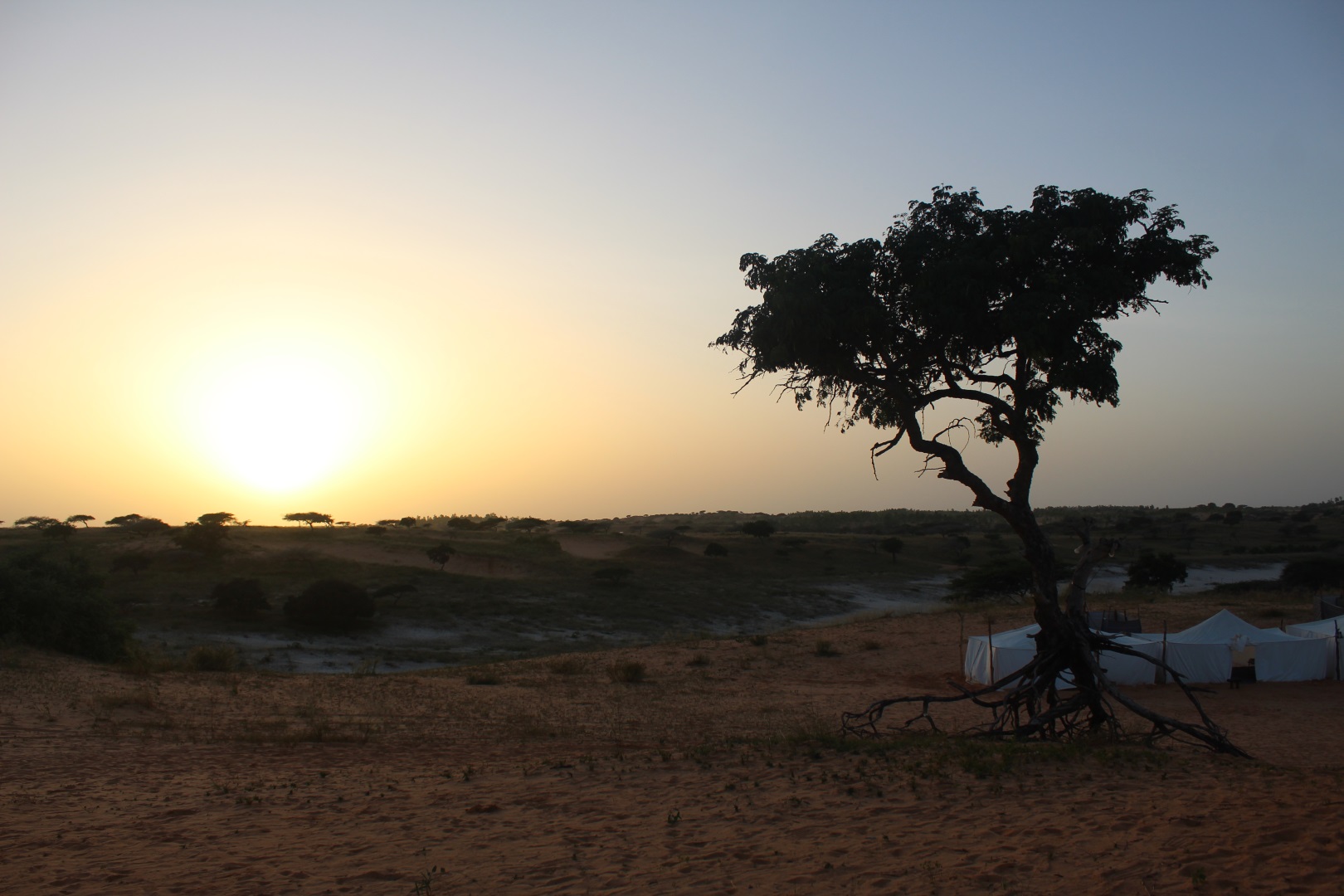 Sénégal - Le Désert de Lompoul