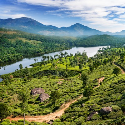 que faire en Inde : visiter Munnar