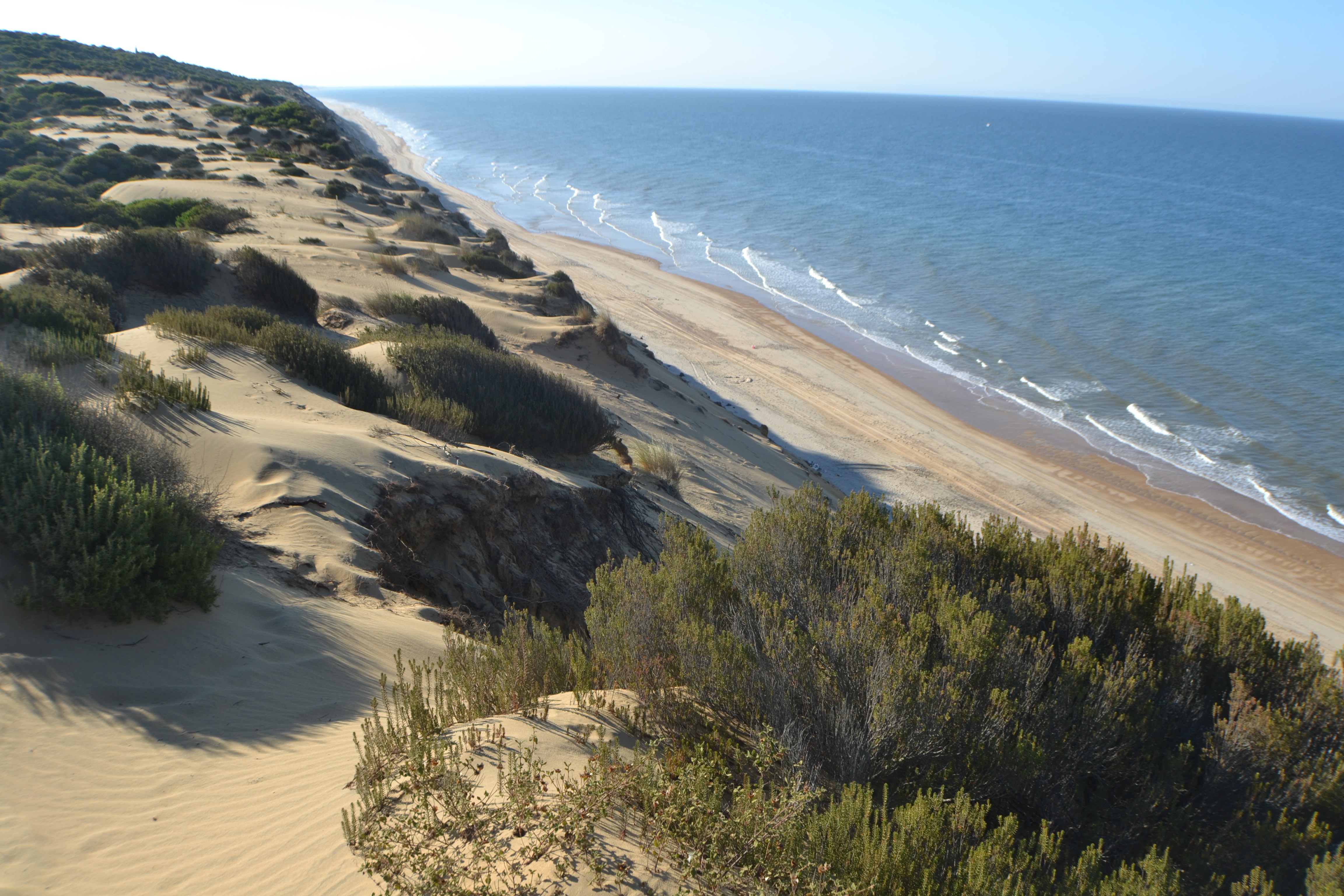 coto donana national park tours