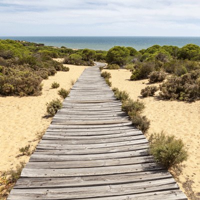 que faire en Espagne : visiter Le Parc National de Doñana