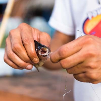 que faire au Brésil : visiter La pêche aux Piranhas