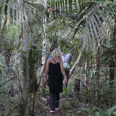 que faire au Brésil : visiter La réserve naturelle d'Adolpho Ducke