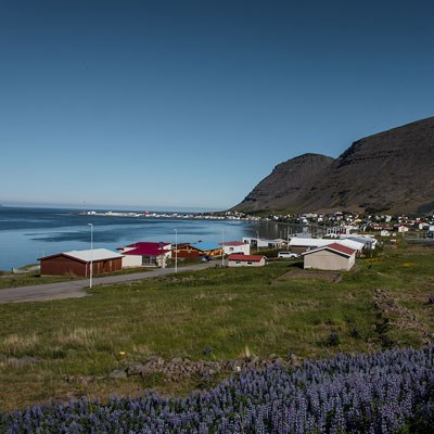 que faire en Islande : visiter Patreksfjordur