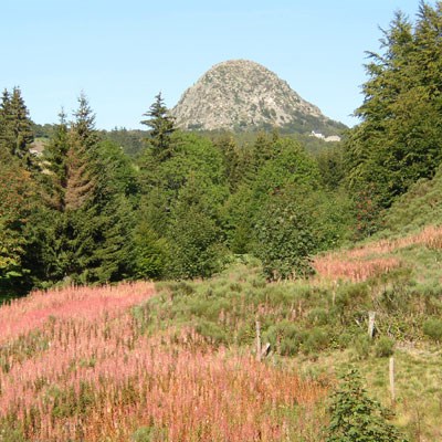 que faire en Rhône-Alpes : visiter Le Mont Gerbier de Jonc 