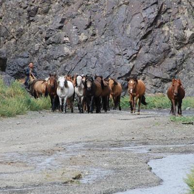 que faire en Mongolie : visiter Le Canyon de Dungenee