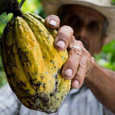 que faire en Colombie : visiter Minca