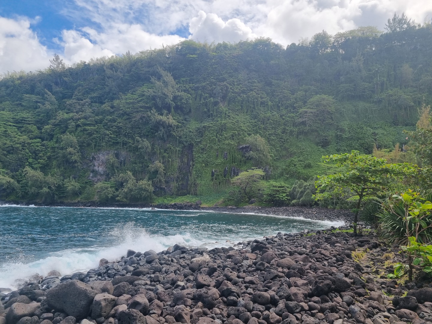 Visiter L'Anse des cascades - Ile de la Reunion