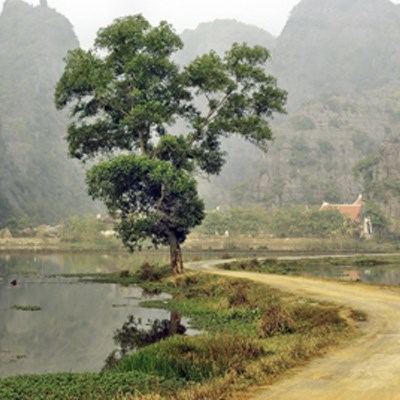 que faire au Vietnam : visiter Hoa Lu