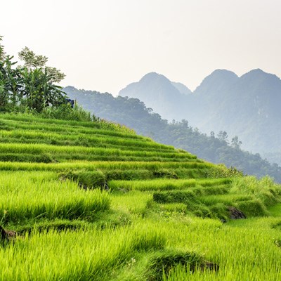 que faire au Vietnam : visiter La Réserve Naturelle de Pu Luong