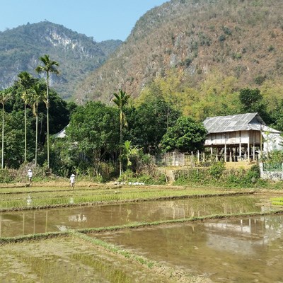 que faire au Vietnam : visiter Thai de Pom Coong