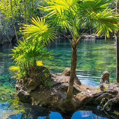 que faire au Mexique : visiter Les Cénotes de San Antonio Mulix