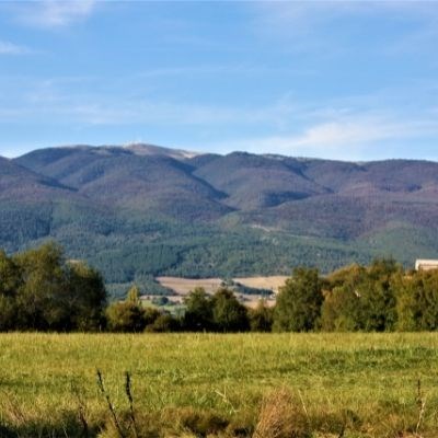 que faire en Provence : visiter La Montagne de Lure