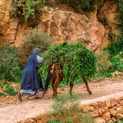 que faire au Maroc : visiter La vallée d'Asni 