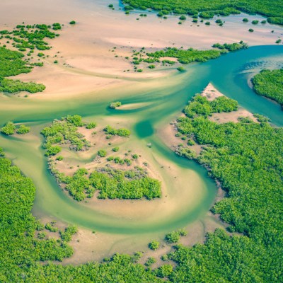 que faire au Sénégal : visiter Sine Saloum