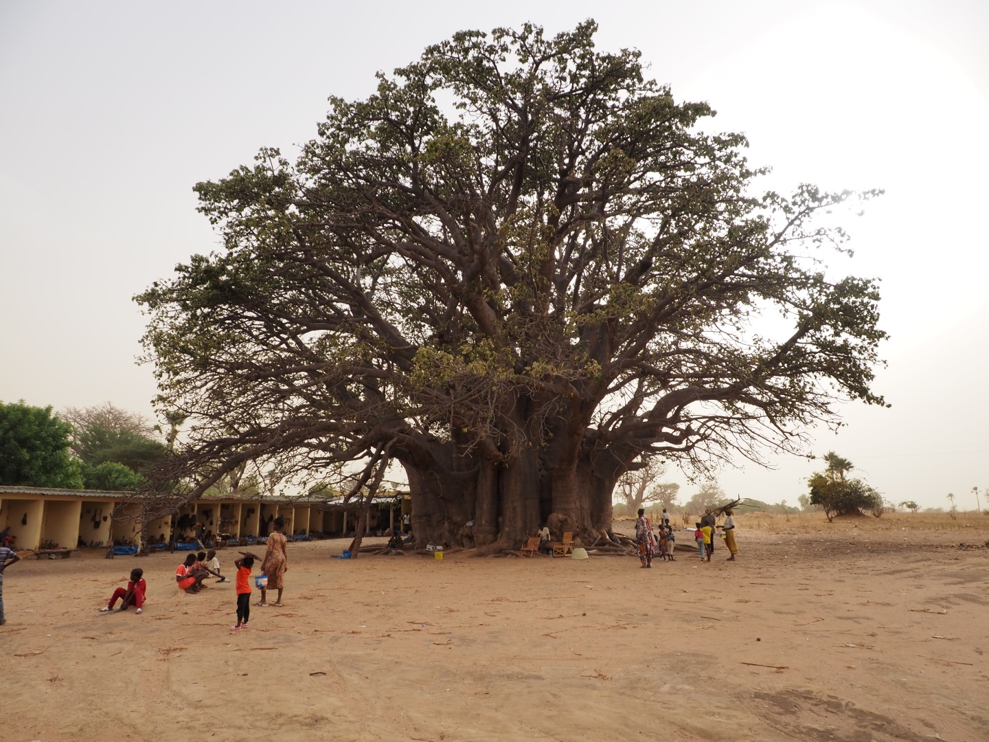 Visiter Palmarin - Sénégal