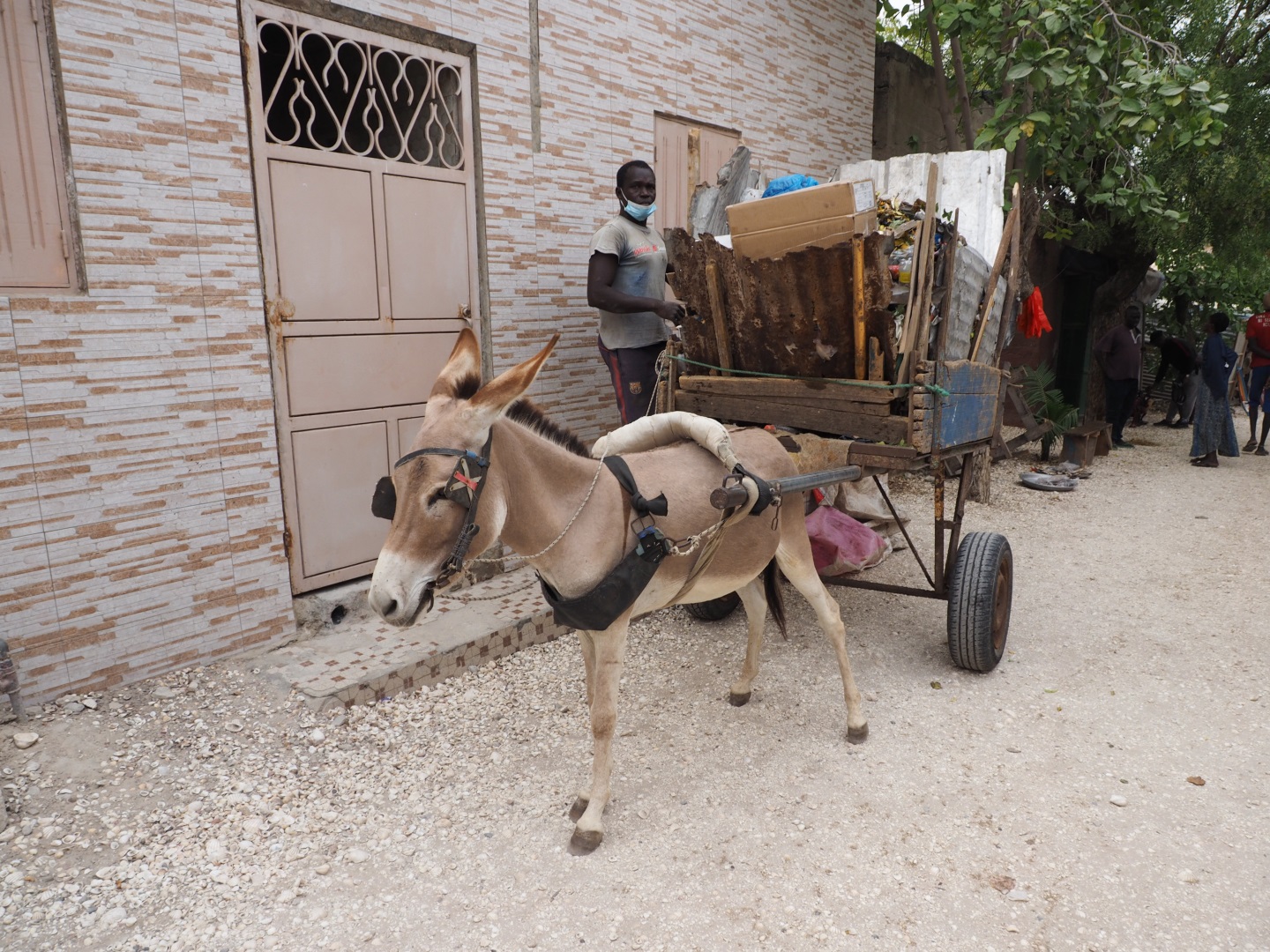 Visiter Joal Fadiouth - Sénégal