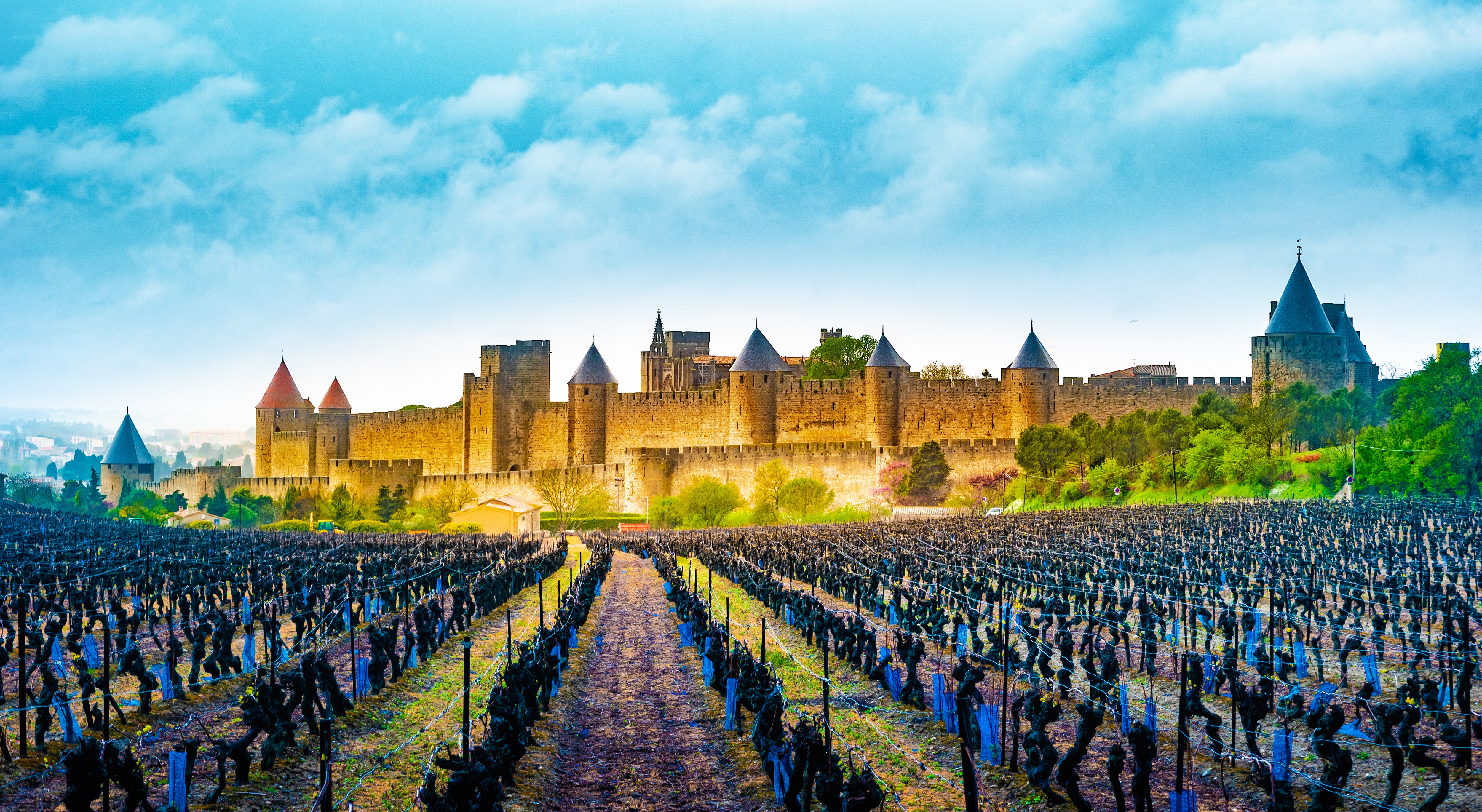 Visite de la Cité de Carcassonne et son Château, merveille d'Occitanie