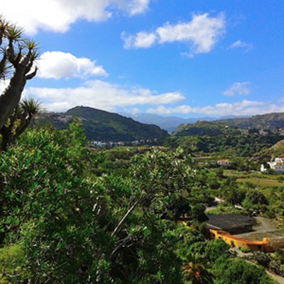 que faire aux Canaries : visiter Le barranco de Guiniguada 