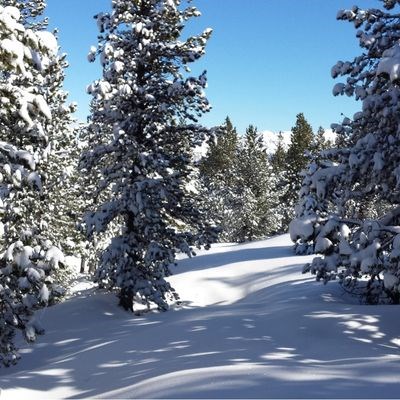 que faire en Occitanie : visiter La forêt du Différend