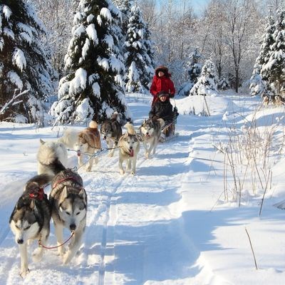 que faire en Occitanie : visiter Chien de traineau à Font Romeu