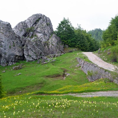 que faire en Albanie : visiter La montagne de Dajti