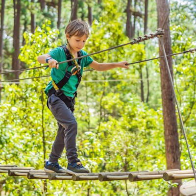 que faire en Rhône-Alpes : visiter L'activité Accrobranche