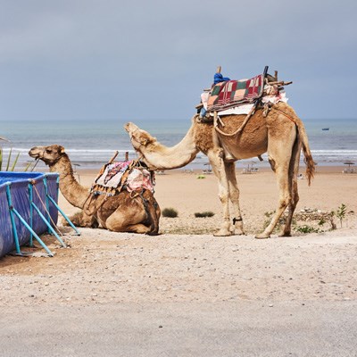 que faire au Maroc : visiter Le souk d'Ida Ougourd