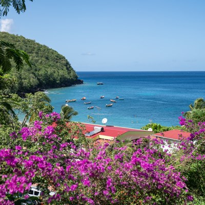 que faire en  Martinique : visiter Grotte aux chauves-souris