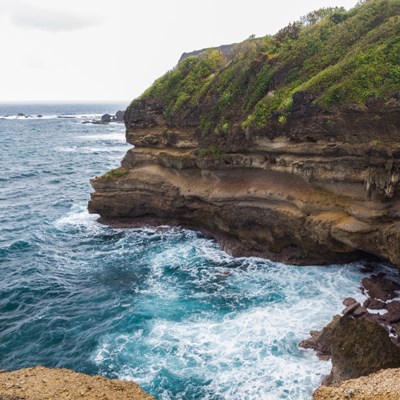 que faire en  Martinique : visiter La réserve naturelle de la Caravelle