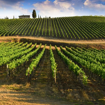 que faire en Italie : visiter Monts du Chianti