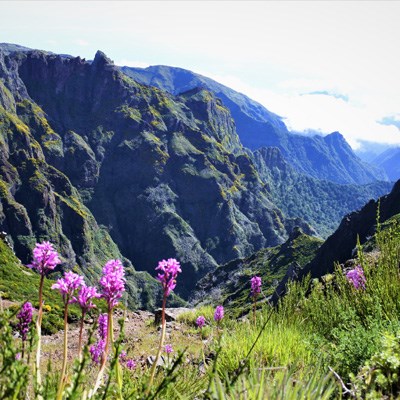 que faire à Madère : visiter Le Pico Arieiro