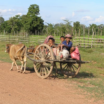 que faire au Cambodge : visiter Prey Monti