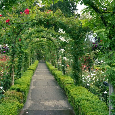 que faire au Canada : visiter Les jardins Butchart