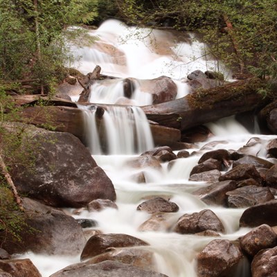 que faire au Canada : visiter Les Chutes Shannon