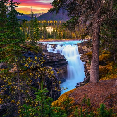 que faire au Canada : visiter Les Chutes Athabasca