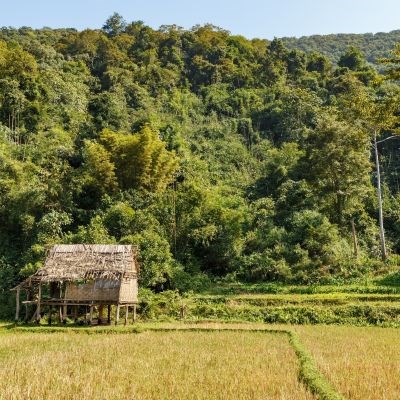 que faire au Laos : visiter Oudomxay