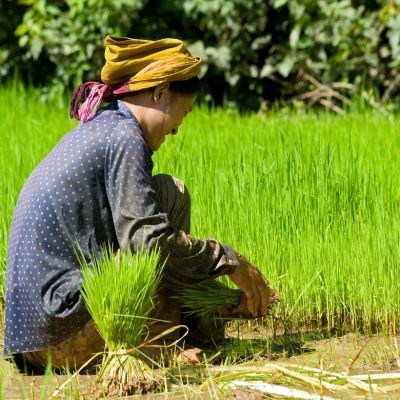 que faire au Laos : visiter Ban Phong Van