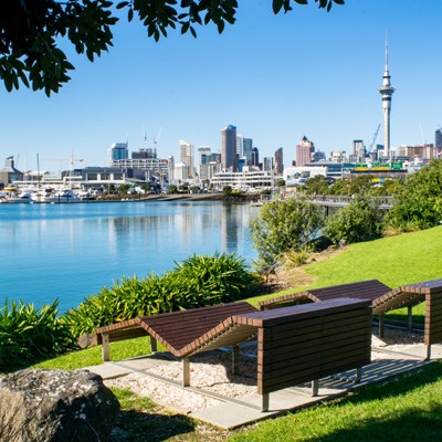 que faire en Nouvelle Zelande : visiter Auckland
