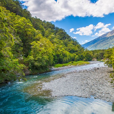 que faire en Nouvelle Zelande : visiter Haast